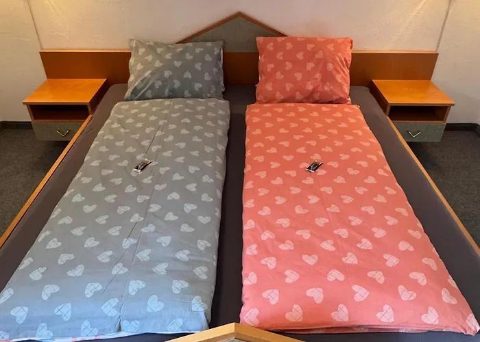 Restaurant Edelweiss Han/Misafirhane *